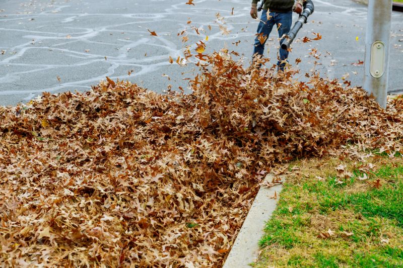 Blowing Leaves from Driveways