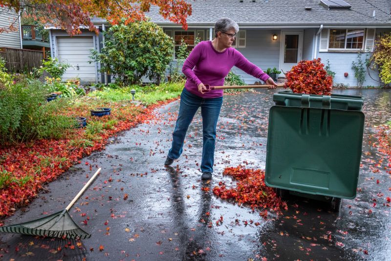 Final Cleanup of Leaves